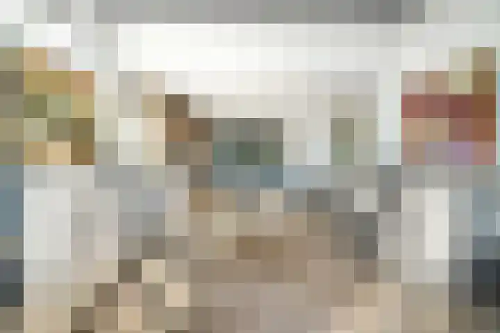 Marksingel 96 Breda thumbnail 14