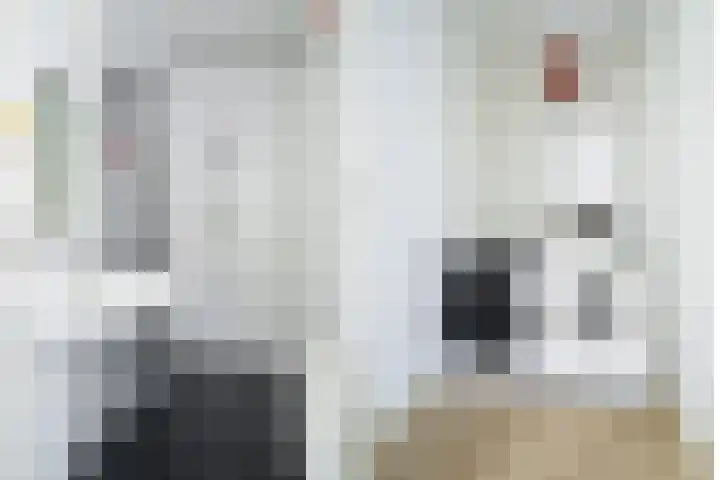 Marksingel 96 Breda thumbnail 29