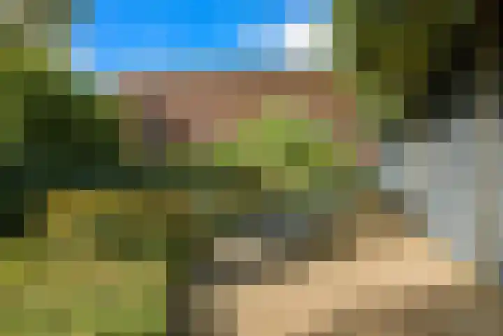 Marksingel 96 Breda thumbnail 33