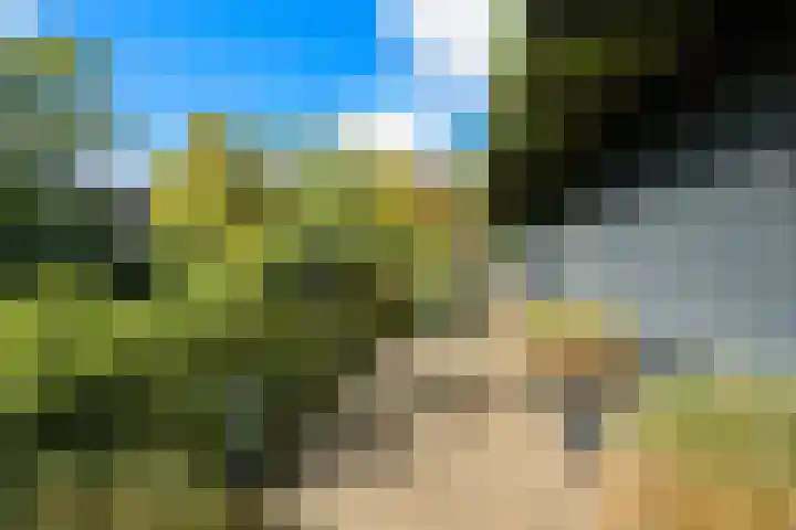 Marksingel 96 Breda thumbnail 35