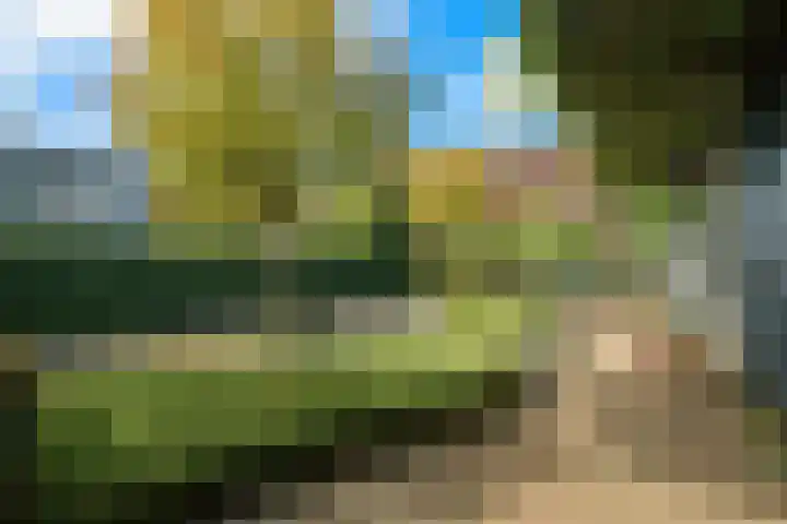 Marksingel 96 Breda thumbnail 36