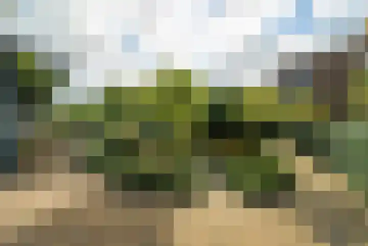 Marksingel 96 Breda thumbnail 37