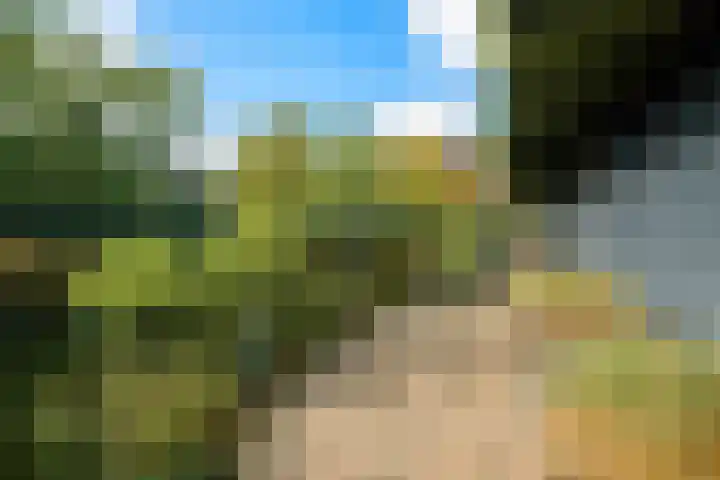 Marksingel 96 Breda thumbnail 38