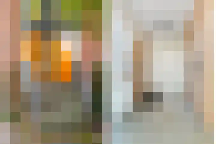 Marksingel 96 Breda thumbnail 6