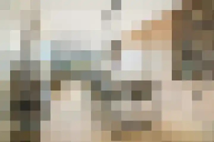 Marksingel 96 Breda thumbnail 9