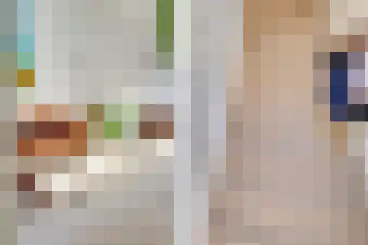 Markstraat 18 Utrecht thumbnail 18