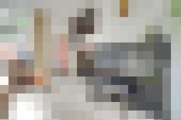 Markstraat 18 Utrecht thumbnail 6