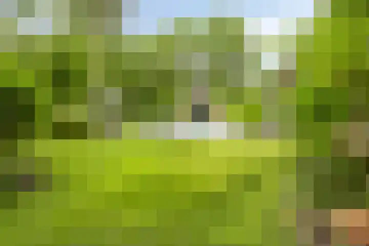 Markstraat 18 Utrecht thumbnail 8