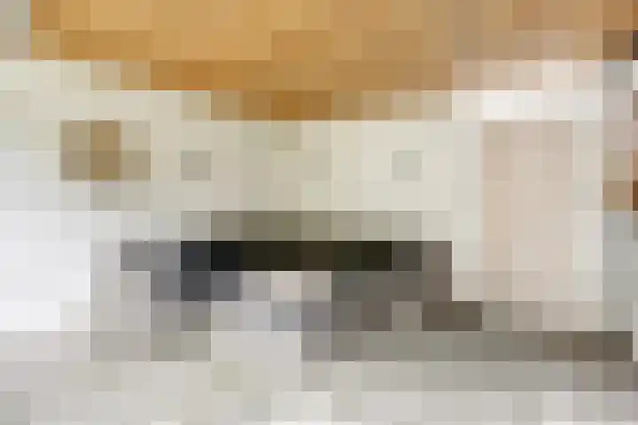 Markstraat 26 Ridderkerk thumbnail 36