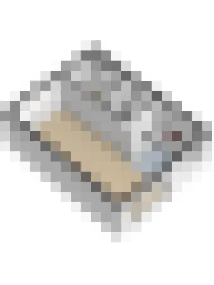 Markstraat 26 Ridderkerk thumbnail 40