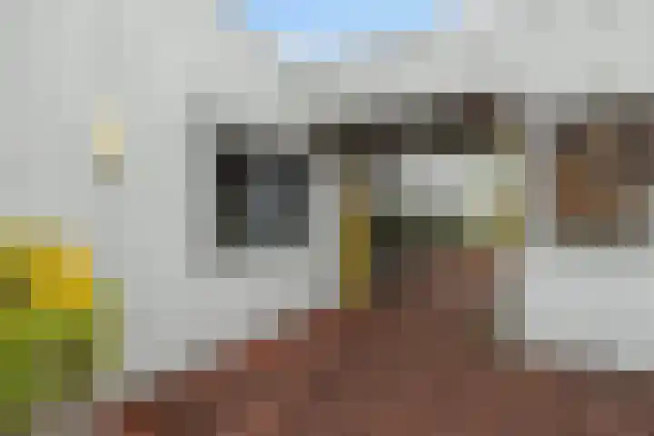 Markt 100 Burgum thumbnail 12