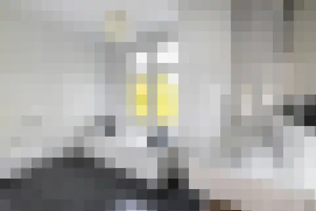 Markt 13 Wouw thumbnail 40