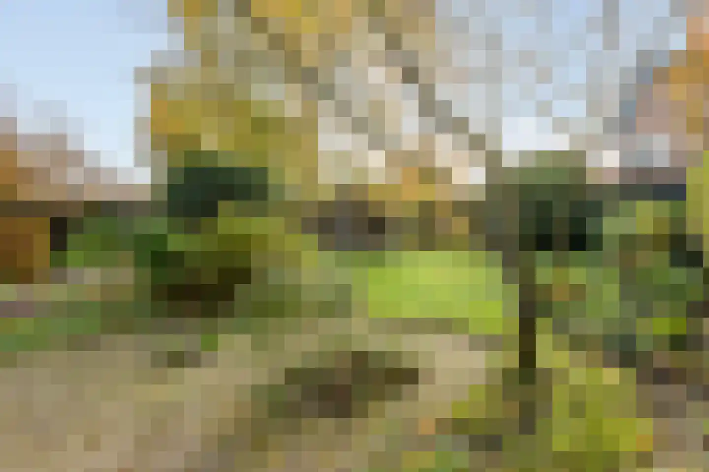 Markt 14 Ossendrecht thumbnail 4