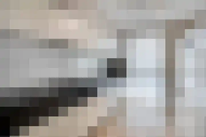 Markt 15 b Nuth thumbnail 17