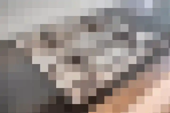 Markt 15 b Nuth thumbnail 19