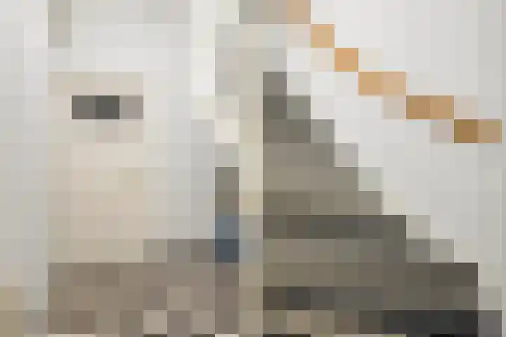 Markt 15 Schijndel thumbnail 7