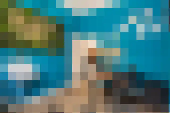 Markt 18 Grave thumbnail 10