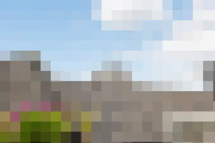 Markt 18 Grave thumbnail 30