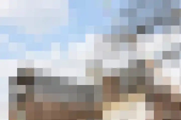 Markt 18 Grave thumbnail 32
