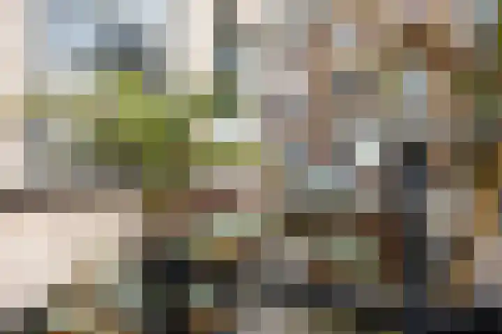 Markt 18 Grave thumbnail 34