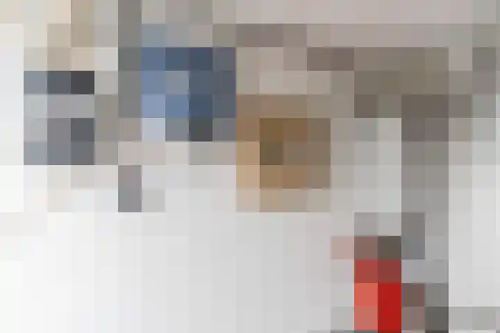 Markt 18 Grave thumbnail 38