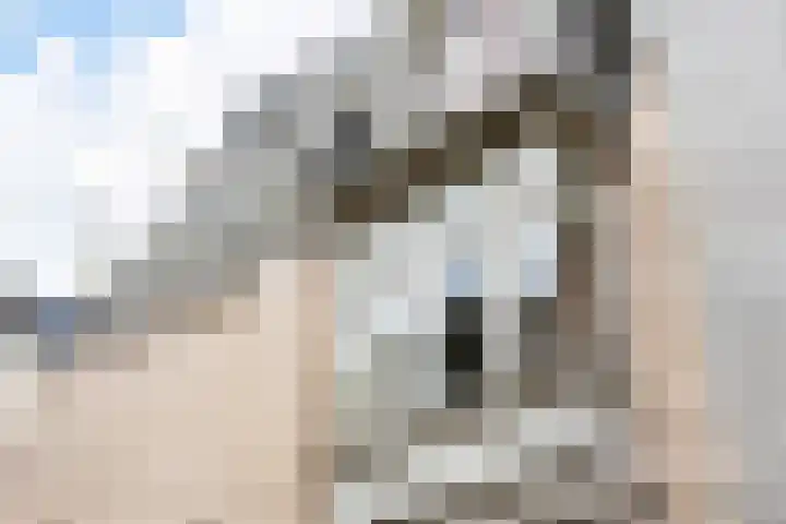 Markt 18 Grave thumbnail 38