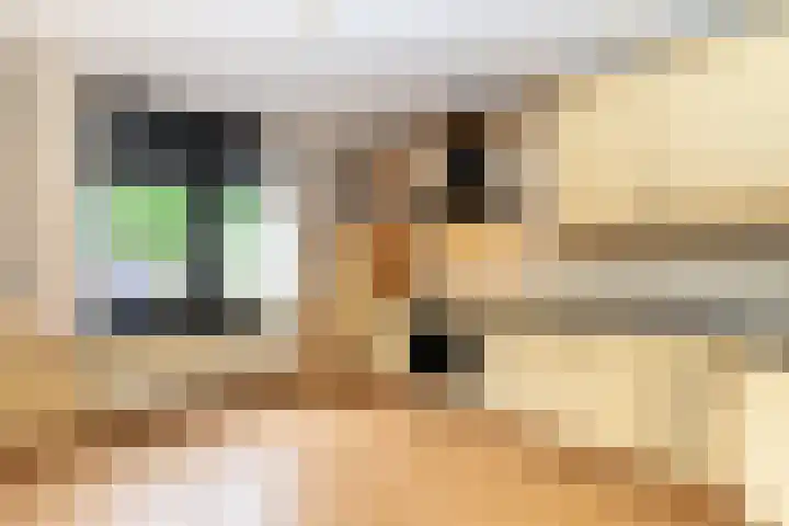 Markt 2 Silvolde thumbnail 10
