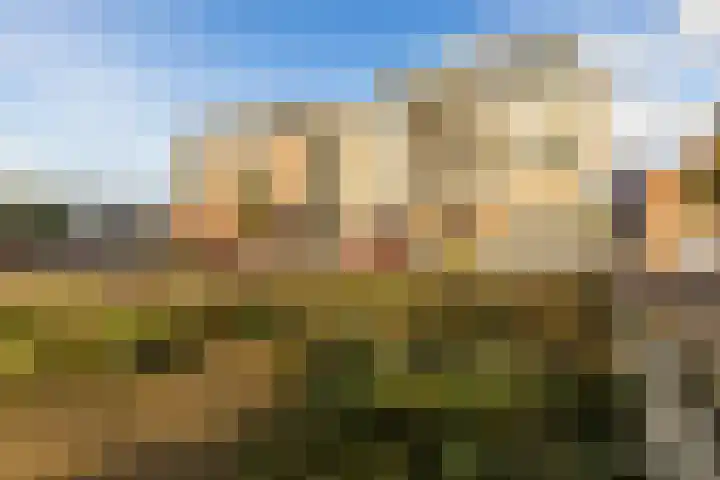 Markt 20 a Zundert thumbnail 39