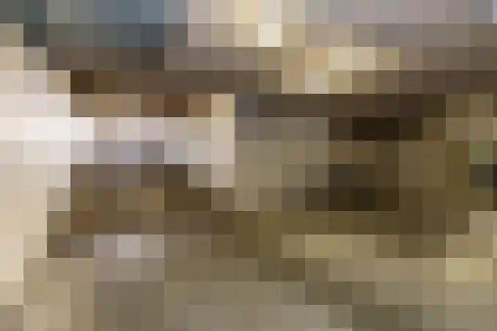 Markt 20 a Zundert thumbnail 41