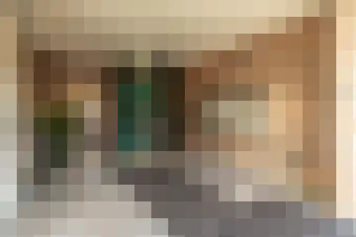 Markt 20 a Zundert thumbnail 9