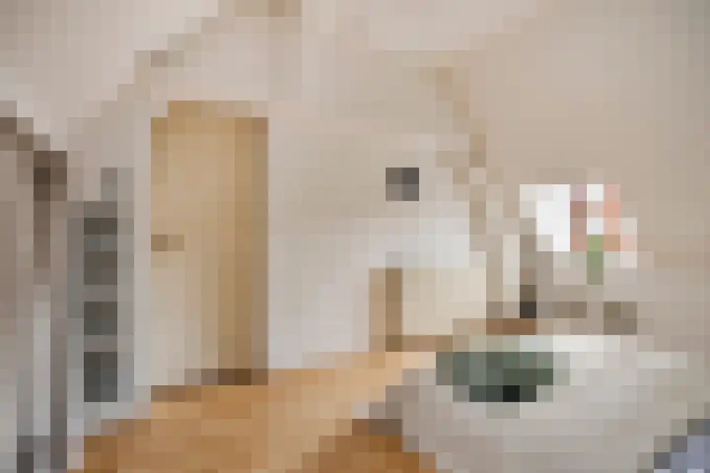 Markt 20 Beek thumbnail 32
