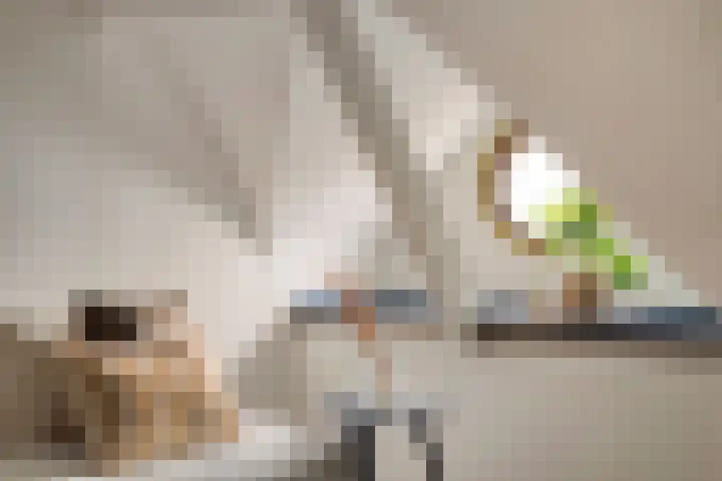 Markt 20 Beek thumbnail 34