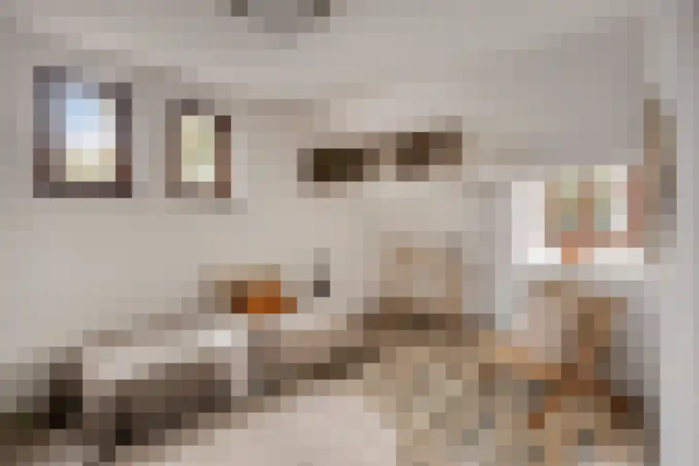 Markt 20 Beek thumbnail 35