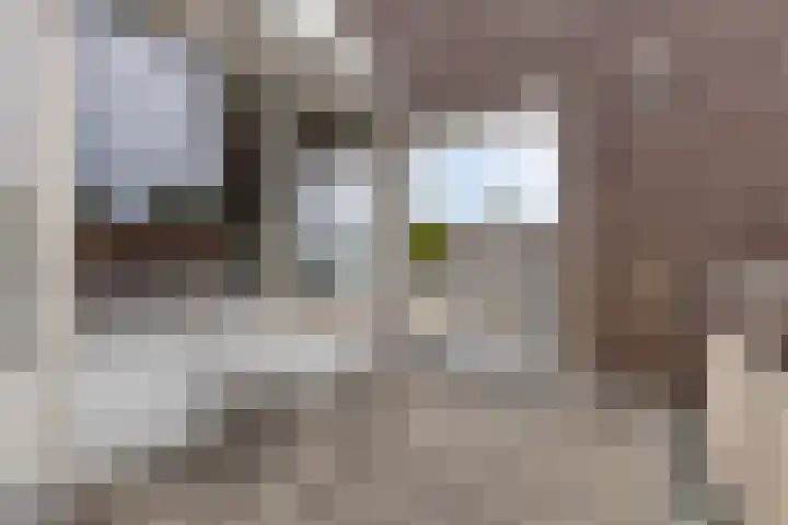 Markt 28 Rosmalen thumbnail 22