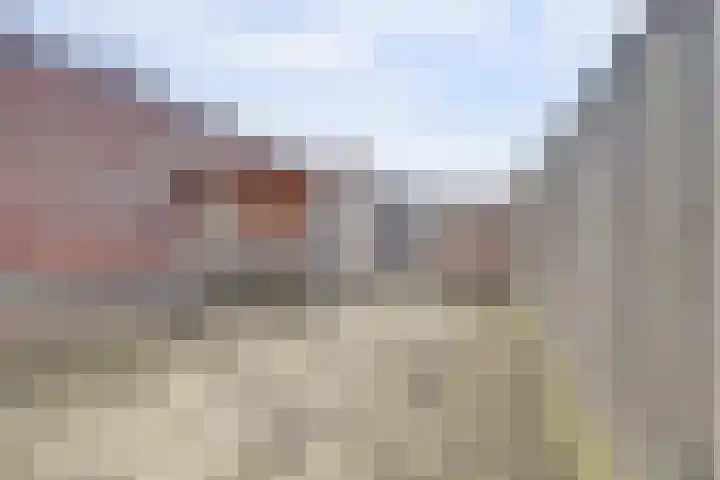 Markt 32 Bladel thumbnail 17