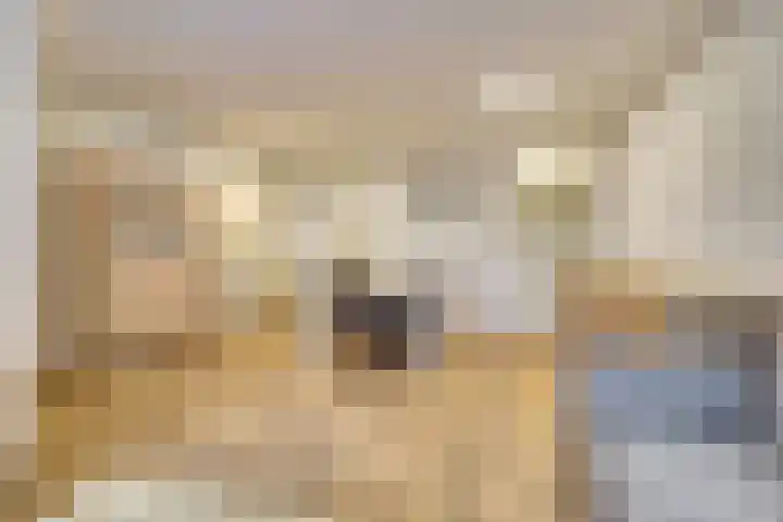 Markt 32 Bladel thumbnail 8