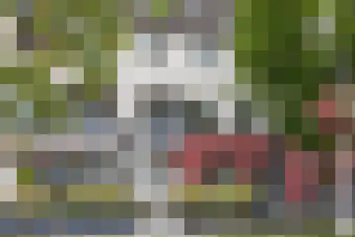 Markt 41 Bladel thumbnail 10