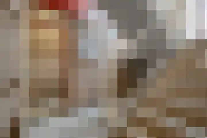 Markt 41 Bladel thumbnail 12