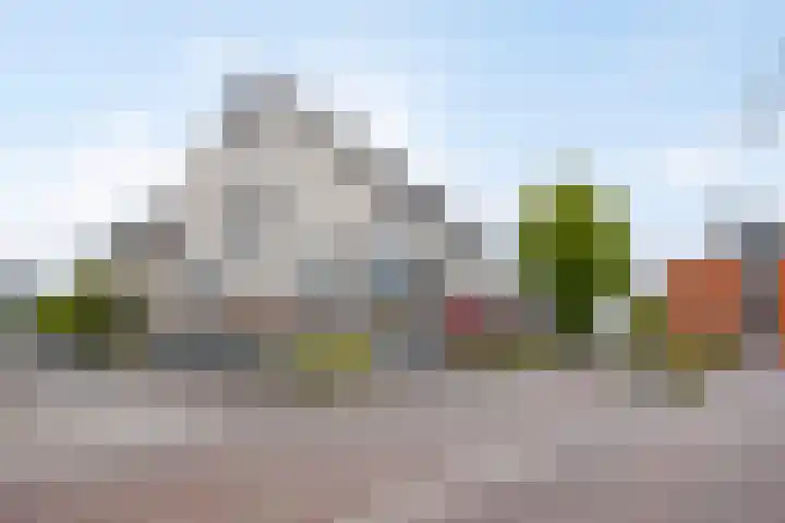 Markt 41 Bladel thumbnail 8