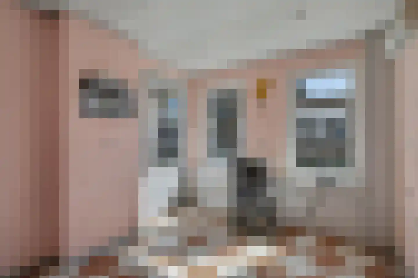 Markt 5 Brunssum thumbnail 27