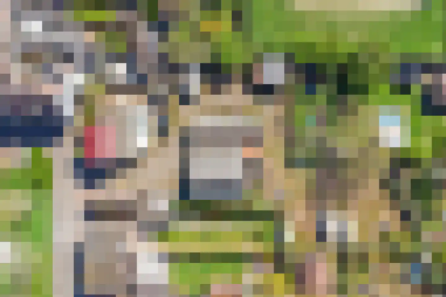 Markt 5 Brunssum thumbnail 52