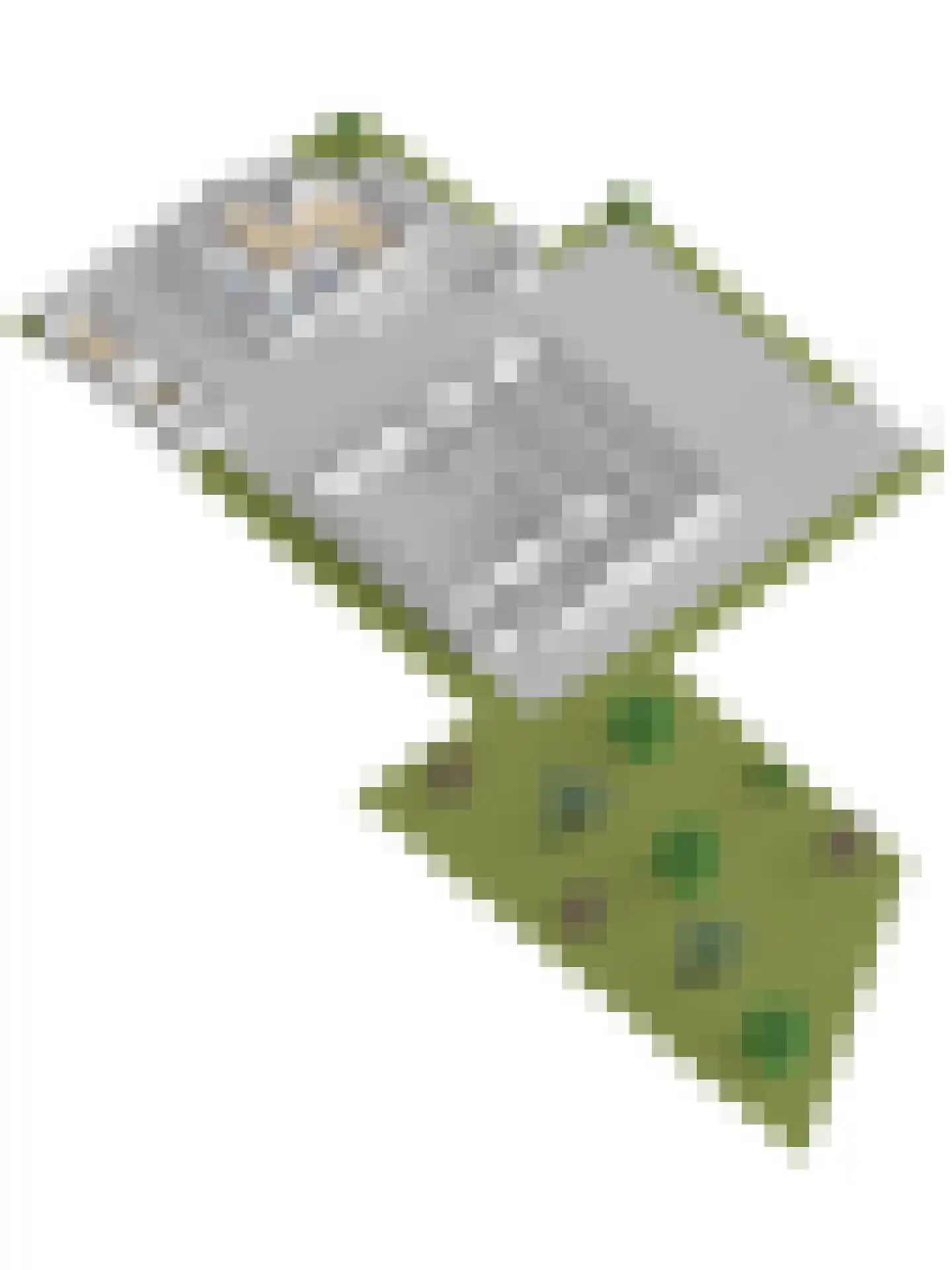 Markt 5 Brunssum thumbnail 64