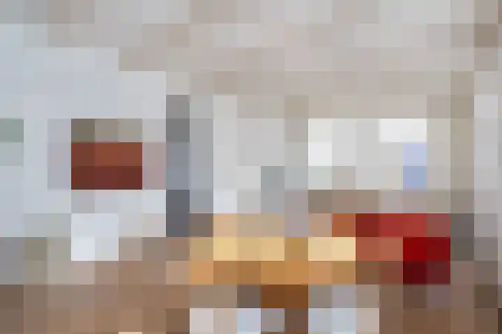 Markt 6 Goedereede thumbnail 19
