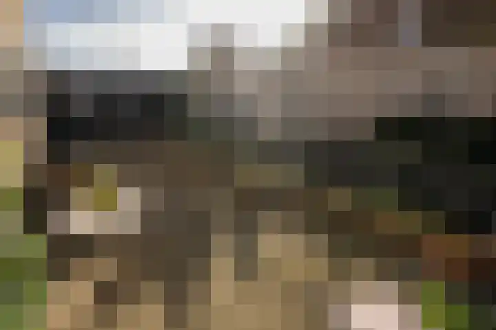 Markt 6 Goedereede thumbnail 51