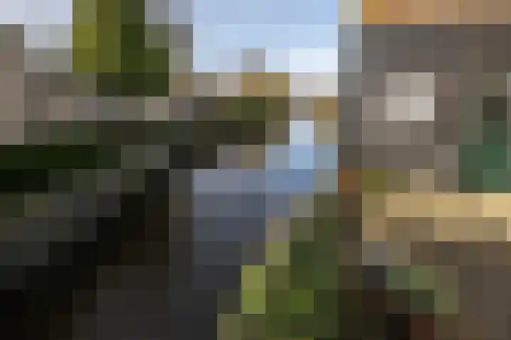 Markt 6 Goedereede thumbnail 52