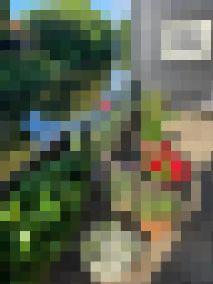 Markt 6 Goedereede thumbnail 55
