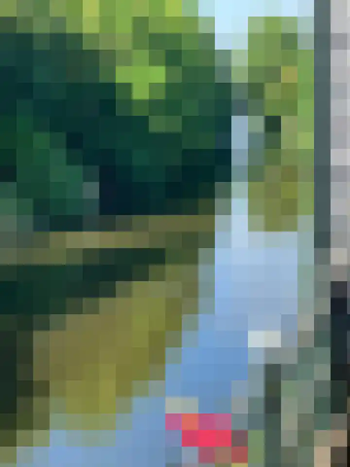 Markt 6 Goedereede thumbnail 57