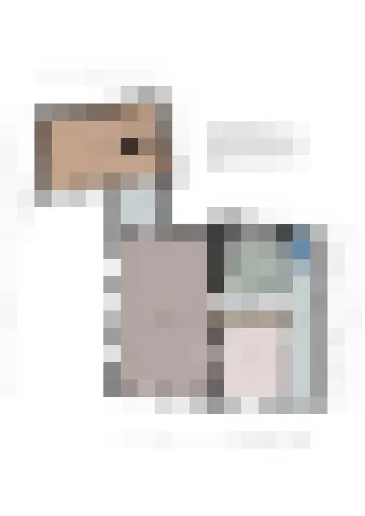 Markt 6 Goedereede thumbnail 58