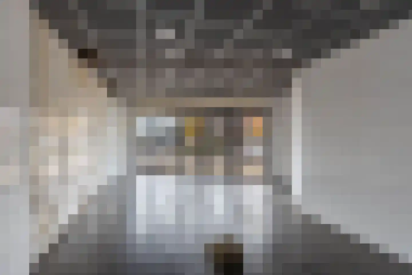 Markt 6 Lemmer thumbnail 7
