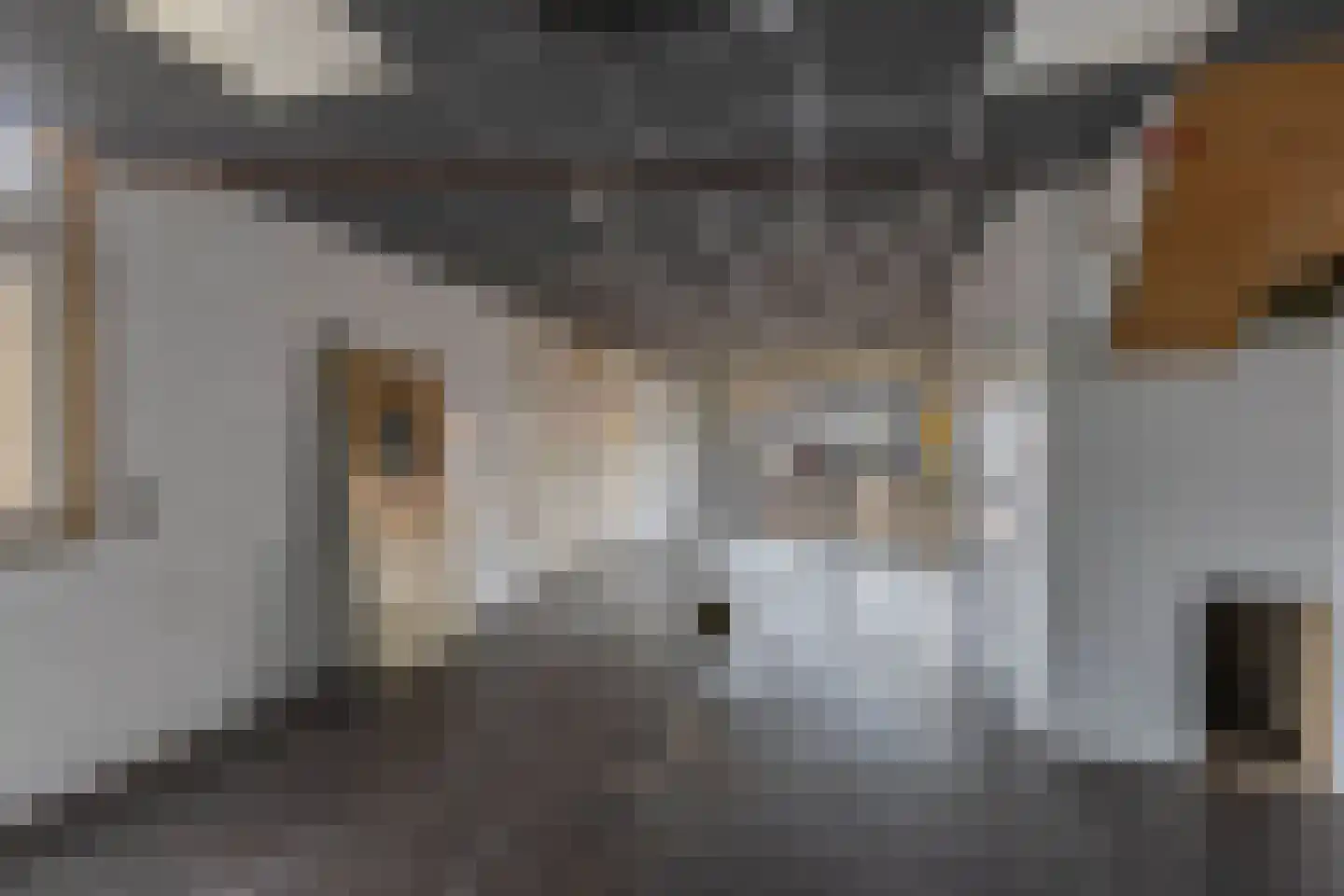 Markt 6 Lemmer thumbnail 8